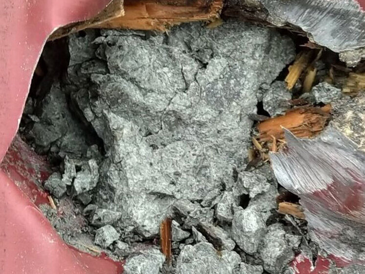 Жителю Новгородской области «подарок» из космоса прилетел прямо на крышу дома