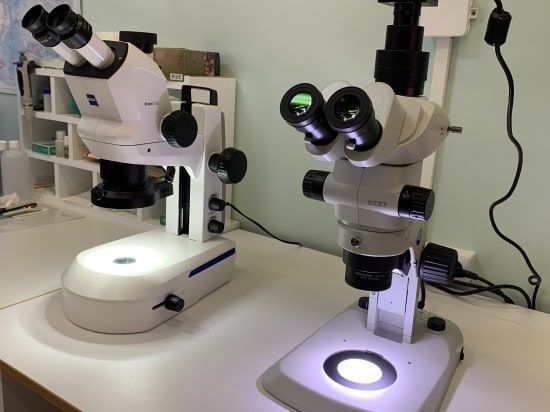 Оборудование научного прогресса