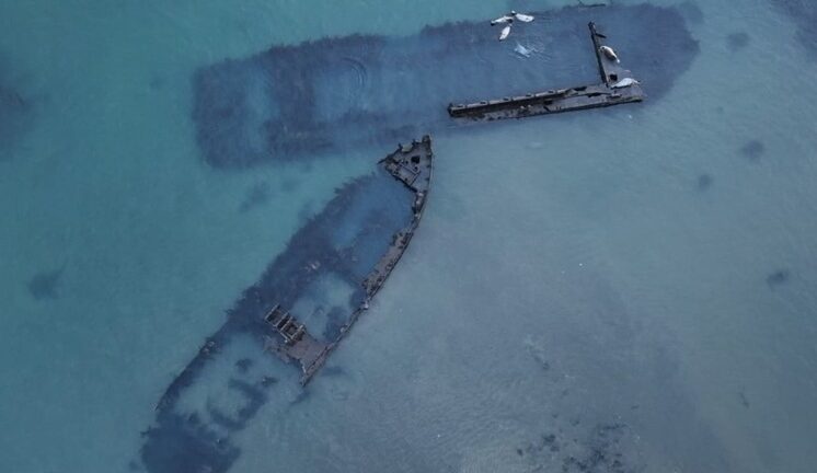 Зеленое будущее: миссия выполнима