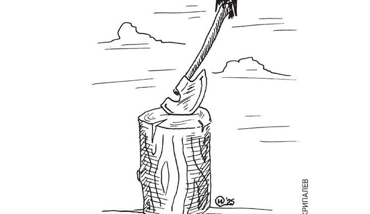 Частичка жизни