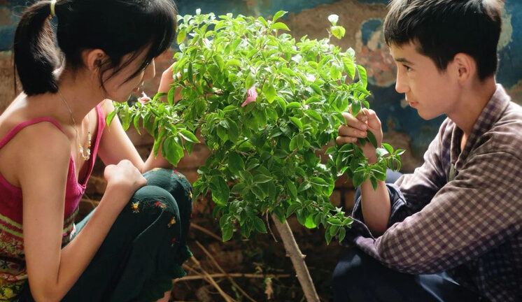 Светское кино под призывы к молитве
