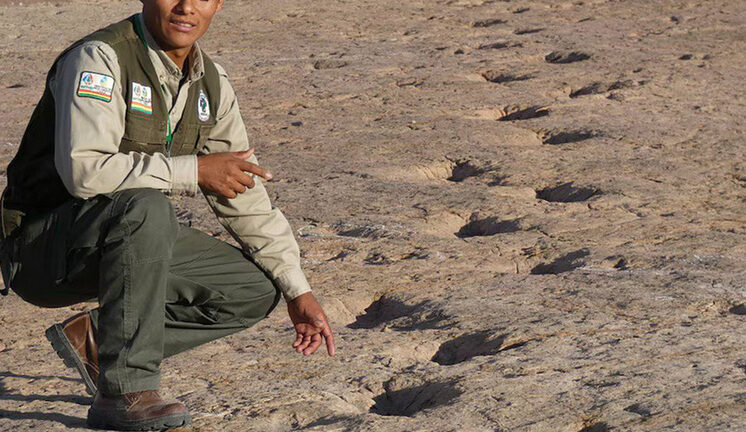 Окно в исчезнувший мир: обнаруженная сокровищница следов динозавров переписала палеонтологию