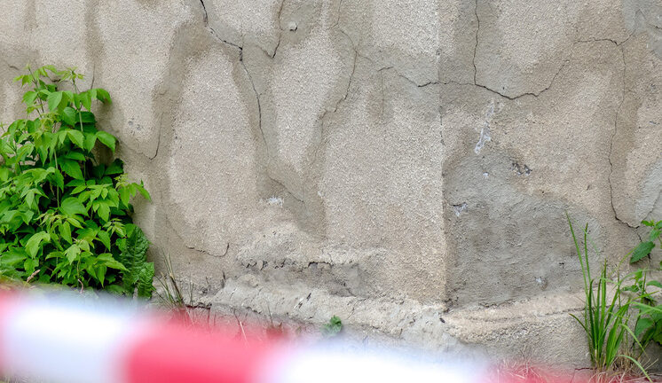 Следы динозавров возрастом около 200 млн лет обнаружили в Китае