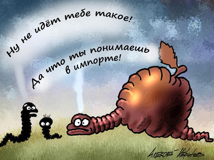 «Экономия до 50%»: почему россияне массово уходят за одеждой на зарубежные маркетплейсы
