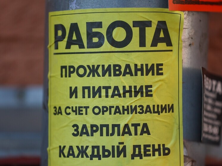 На поиск работы у россиян в среднем уходит полгода: на что живут люди