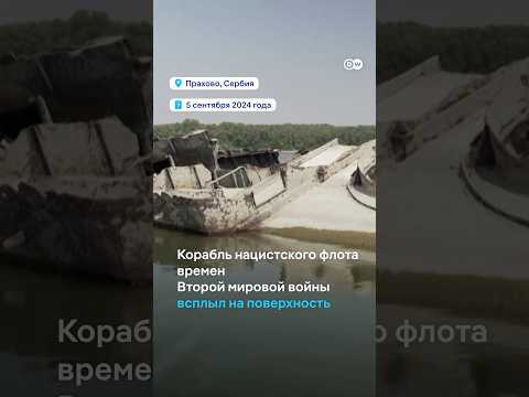 Флот нацистов в Сербии