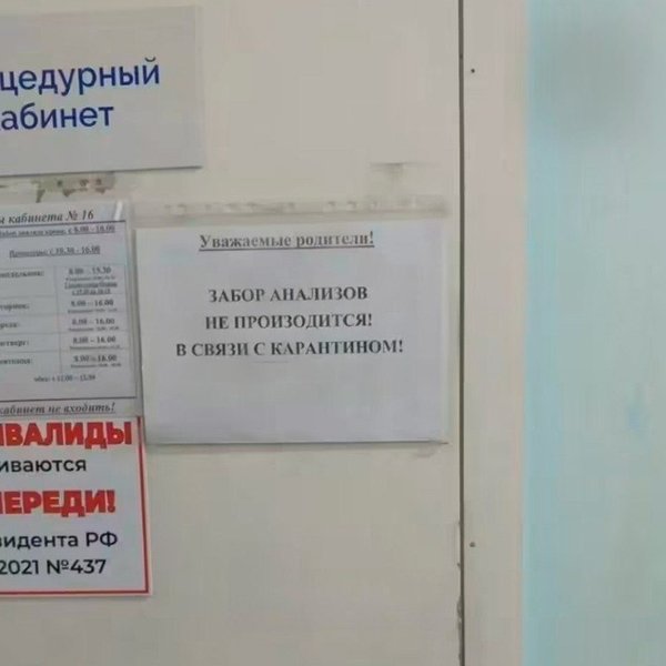 чума шелехов россия